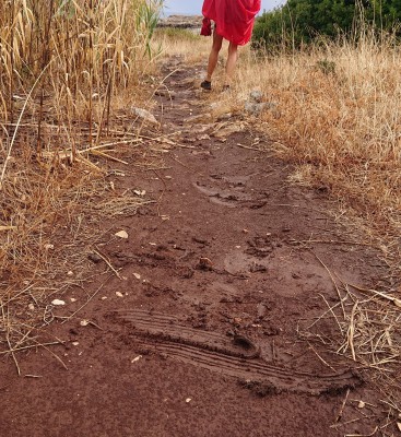 Tuotetta adidas Terrex - Women's Terrex Soulstride RAIN.RDY - Polkujuoksukengät koskeva kuva 1 käyttäjältä Jeannine