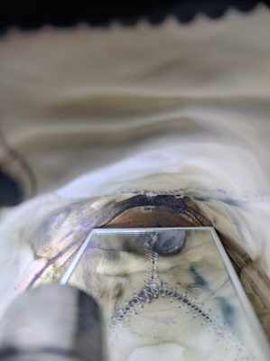 Tuotetta AKU - Minima - Vapaa-ajan kengät koskeva kuva 1 käyttäjältä Bettina