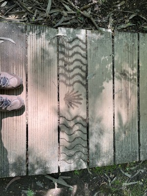 Tuotetta CEP - Women's Hiking Merino Mid-Cut Socks - Kompressiosukat koskeva kuva 1 käyttäjältä Anette