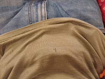 Tuotetta Devold - Active Kerning Tee - Merinovillapaita koskeva kuva 1 käyttäjältä Raimund