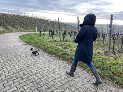 Tuotetta Didriksons - Women's Tanja Parka - Talvitakki koskeva kuva 1 k&auml;ytt&auml;j&auml;lt&auml; Tanja