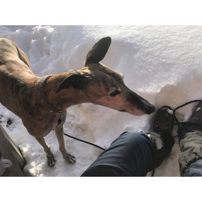 Tuotetta Hanwag - Tatra II Lady GTX - Vaelluskengät koskeva kuva 1 käyttäjältä Edith