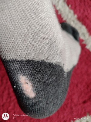 Tuotetta Heber Peak - EvergreenHe. Hiking Crew Socks 2-Pack - Vaellussukat koskeva kuva 1 käyttäjältä Stefan