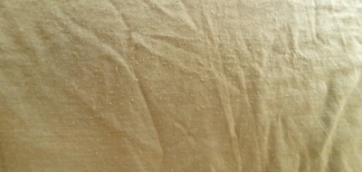 Tuotetta Heber Peak - MerinoMix150 PineconeHe. T-Shirt - Merinovillapaita koskeva kuva 1 k&auml;ytt&auml;j&auml;lt&auml; Tobias