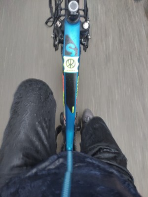 Tuotetta Heber Peak - TimberHe. Winter Softshell Pants - Talvihousut koskeva kuva 1 käyttäjältä Reinhard