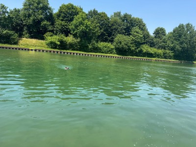 Tuotetta Keen - Women's Hyperport H2 - Sandaalit koskeva kuva 1 käyttäjältä Inge