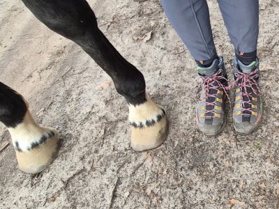 Tuotetta La Sportiva - Women's Trango TRK Leather GTX - Vaelluskengät koskeva kuva 1 k&auml;ytt&auml;j&auml;lt&auml; Ines