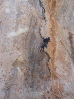 Tuotetta Petzl - Spirit Straight Gate - Jousilukitteiset sulkurenkaat koskeva kuva 1 käyttäjältä Siegfried