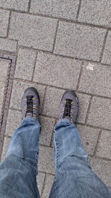 Tuotetta Salewa - Alp Trainer 2 GTX - Multisport-kengät koskeva kuva 1 käyttäjältä michael