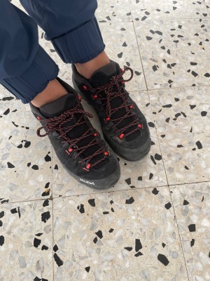 Tuotetta Salewa - Women's Alp Trainer 2 GTX - Multisport-kengät koskeva kuva 1 käyttäjältä Britta