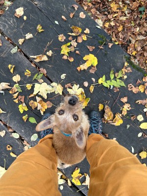 Tuotetta Salewa - Women's Wildfire Edge GTX - Approach-kengät koskeva kuva 1 k&auml;ytt&auml;j&auml;lt&auml; Michèle