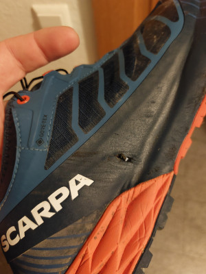 Tuotetta Scarpa - Ribelle Run GTX - Polkujuoksukengät koskeva kuva 1 käyttäjältä Daniel