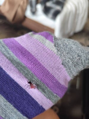 Tuotetta Stoic - Merino Trekking Crew Socks Stripes - Vaellussukat koskeva kuva 1 käyttäjältä Nicole