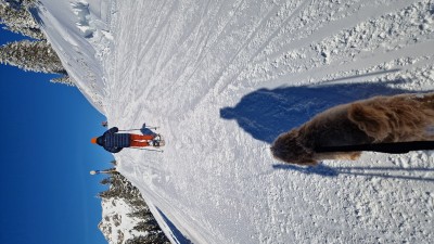 Tuotetta Tubbs - Flex TRK 22 Kit - Lumikengät koskeva kuva 1 käyttäjältä Alexandra