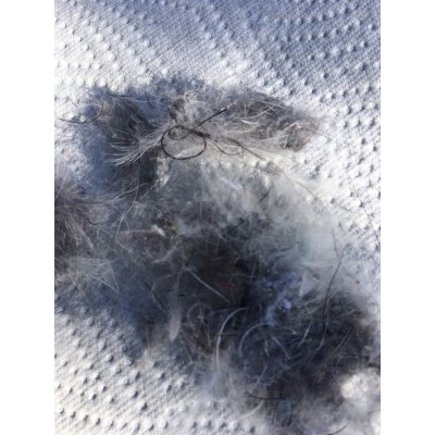 Tuotetta Valandre - Grasshopper 400 - Untuvamakuupussi koskeva kuva 1 käyttäjältä Uwe