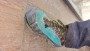 Tuotetta La Sportiva - TX4 Evo GTX - Approach-kengät koskeva kuva 2 käyttäjältä MARCIN