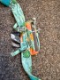Tuotetta Ruffwear - Stash Bag Mini - Koiratarvikkeet koskeva kuva 2 käyttäjältä Maike