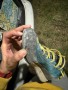 Tuotetta Scarpa - Gecko LT - Approach-kengät koskeva kuva 3 käyttäjältä Alejandro