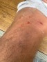 Tuotetta Scarpa - Ribelle Run Kalibra G - Polkujuoksukengät koskeva kuva 4 käyttäjältä Jonathon 