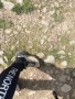 Tuotetta Scarpa - Women's Rush Trek Pro GTX - Vaelluskengät koskeva kuva 1 käyttäjältä Veronika